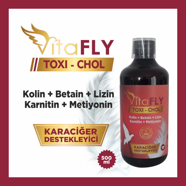 VitaFLY TOXI-CHOL 500 ml 