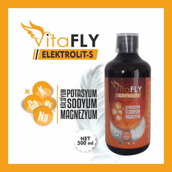 VitaFLY ELEKTROLİT-S 500 ml 