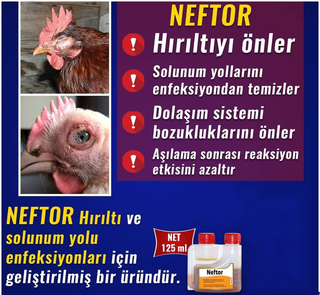 NEFTOR 125 ML 