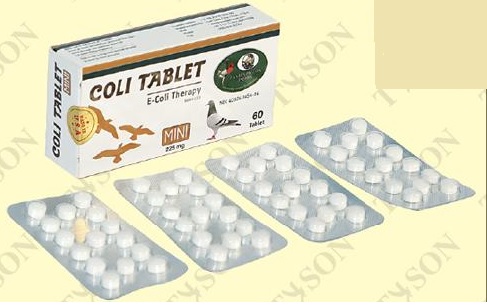 TYSON Professıonal Ecoli Mix Nano Tablet  4 in 1 Mix 60 lı adet PREMİKS 