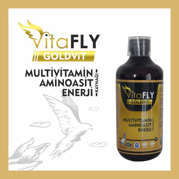 VitaFLY Goldvit Sıvı Multivitamin 500 ml 