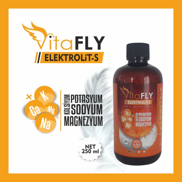 VitaFLY ELEKTROLİT-S 250 ml 